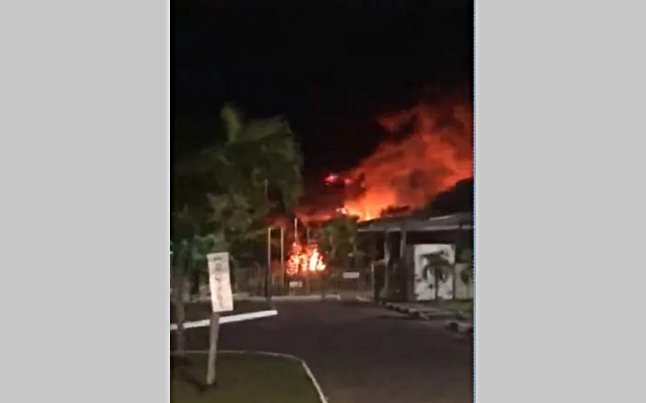  Incêndio atinge área de bambuzal na região metropolitana de Salvador