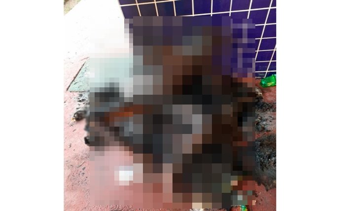  Morador de rua morre após ter corpo incendiado em Dias d’Ávila