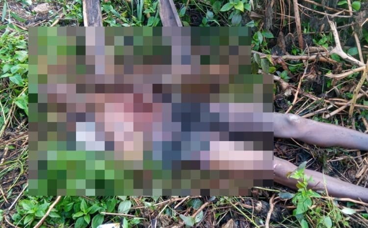  Corpo de jovem de 19 anos é encontrado no Verdes Horizontes