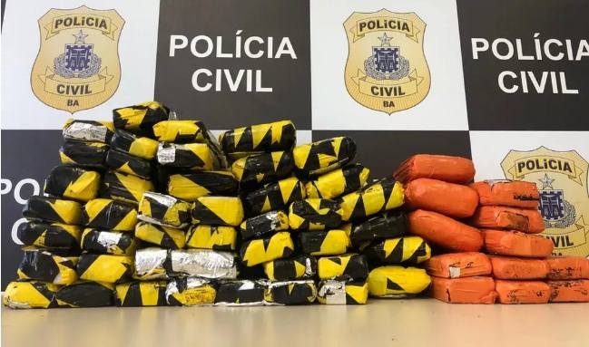  Polícia apreende 56 tabletes de skunk em galpão de transportadora em Lauro de Freitas