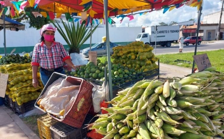  Feira do Milho segue até o dia 30 de junho em Camaçari; veja os pontos de vendas