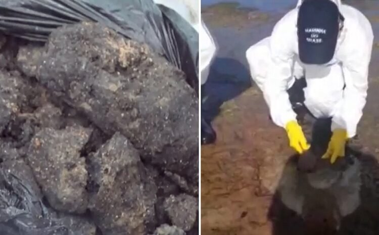 Camaçari: 300 kg de óleo são retirados da praia de Itacimirim