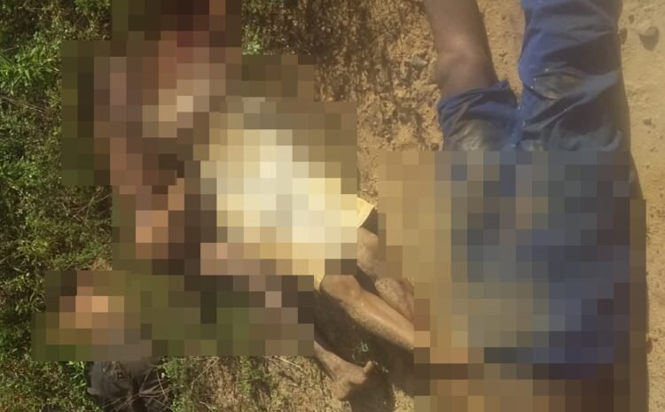  Quatro corpos são encontrados com sinais de tortura em Camaçari