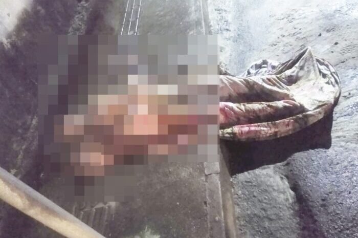  Adolescente de 16 anos é morta a facadas em Camaçari