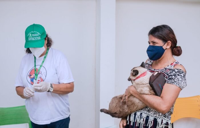 Camaçari: Dia D de vacinação antirrábica animal acontece no sábado (10/9); confira os locais