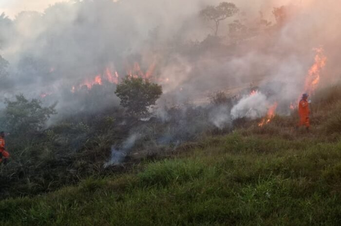  Defesa Civil de Camaçari registra aumento de incêndios em vegetações em janeiro
