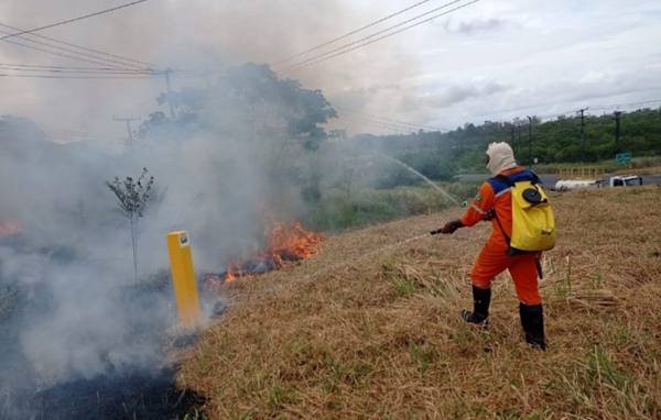 Defesa Civil E Sedur Alertam Sobre Os Perigos Relacionados Aos Incêndios Florestais Jornal 