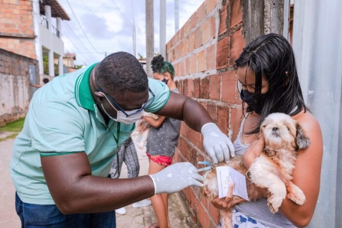  Campanha de Vacinação Antirrábica Animal tem início em Camaçari