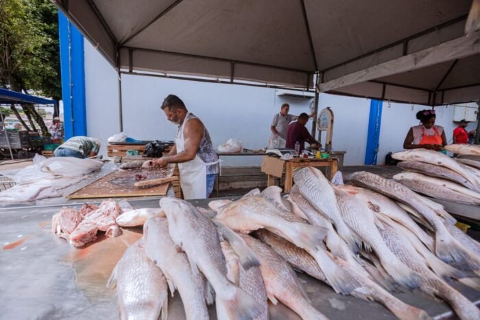  Camaçari: Tradicional Feira do Peixe tem início nesta terça-feira (26)