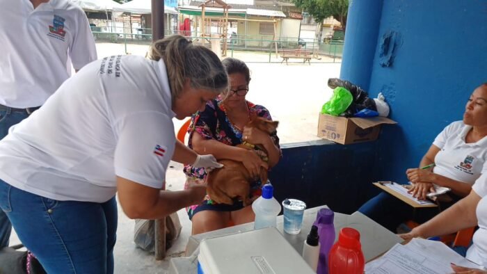  Sesau oferece vacinação antirrábica em Camaçari; veja as unidades de atendimento