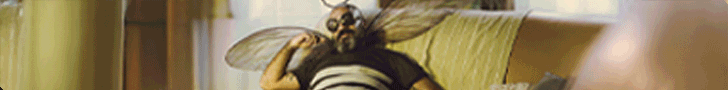 BANNER ANIMADO CombateDengue 728x90 1 1