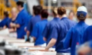 auxiliar de operacoes industria