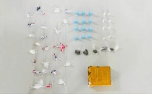 Screenshot 20260115 110122 Chrome