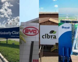 GridArt 20260202 093232138