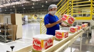 kimberly clark